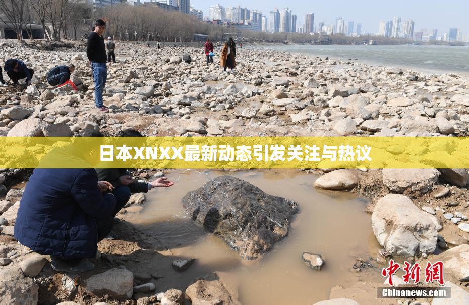 日本XNXX最新动态引发关注与热议