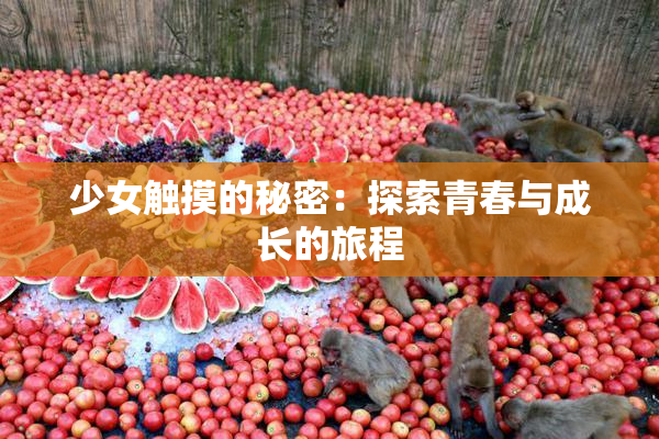 少女触摸的秘密：探索青春与成长的旅程