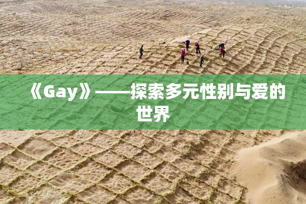 《Gay》——探索多元性别与爱的世界
