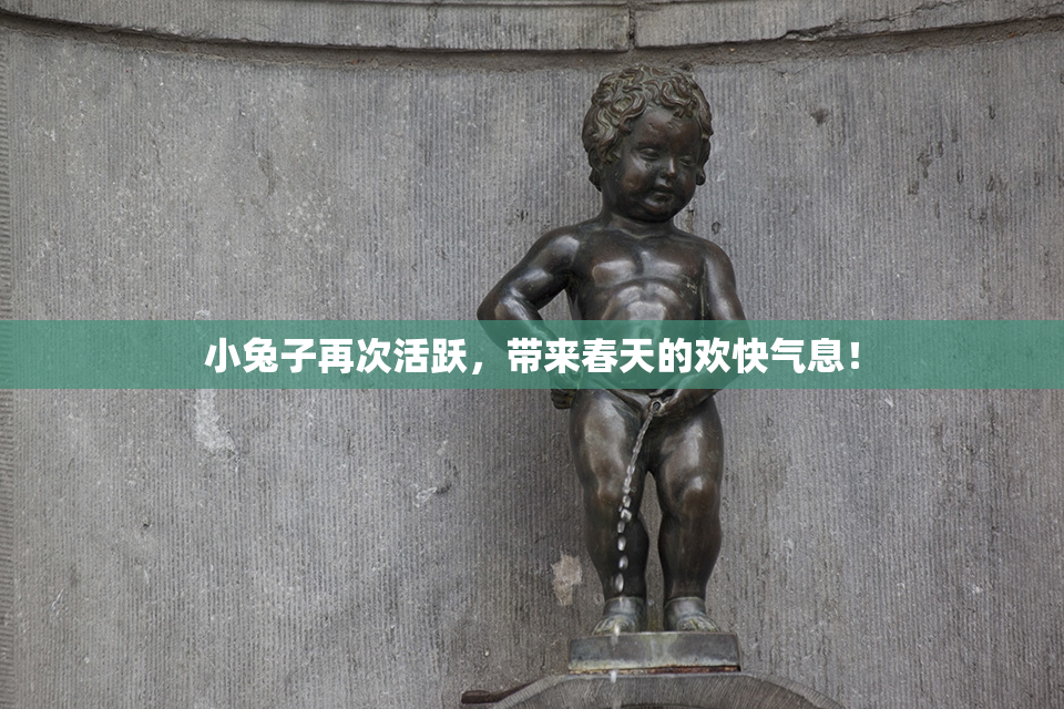 小兔子再次活跃，带来春天的欢快气息！