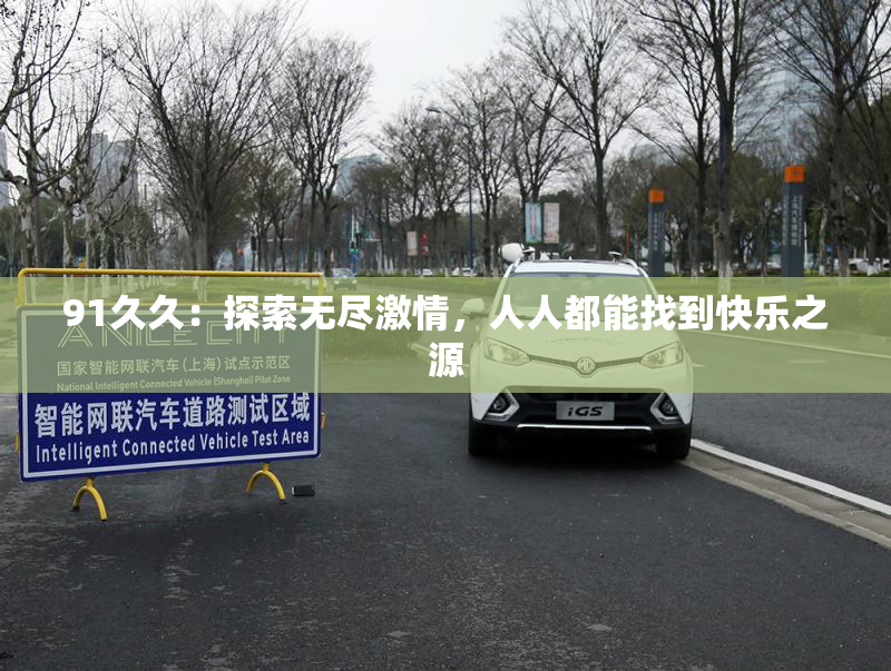 91久久：探索无尽激情，人人都能找到快乐之源