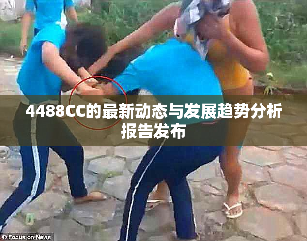4488CC的最新动态与发展趋势分析报告发布