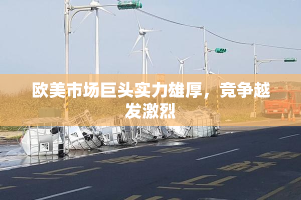 欧美市场巨头实力雄厚，竞争越发激烈