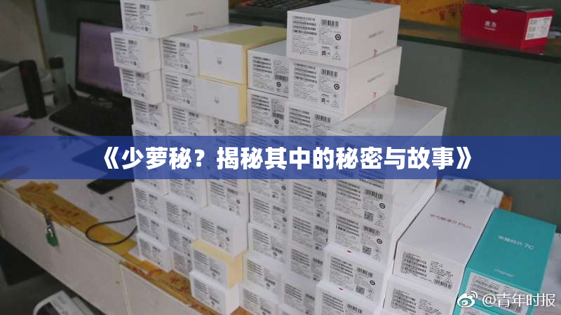 《少萝秘？揭秘其中的秘密与故事》