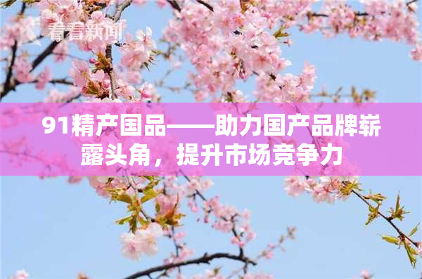 91精产国品——助力国产品牌崭露头角，提升市场竞争力