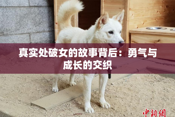 真实处破女的故事背后：勇气与成长的交织