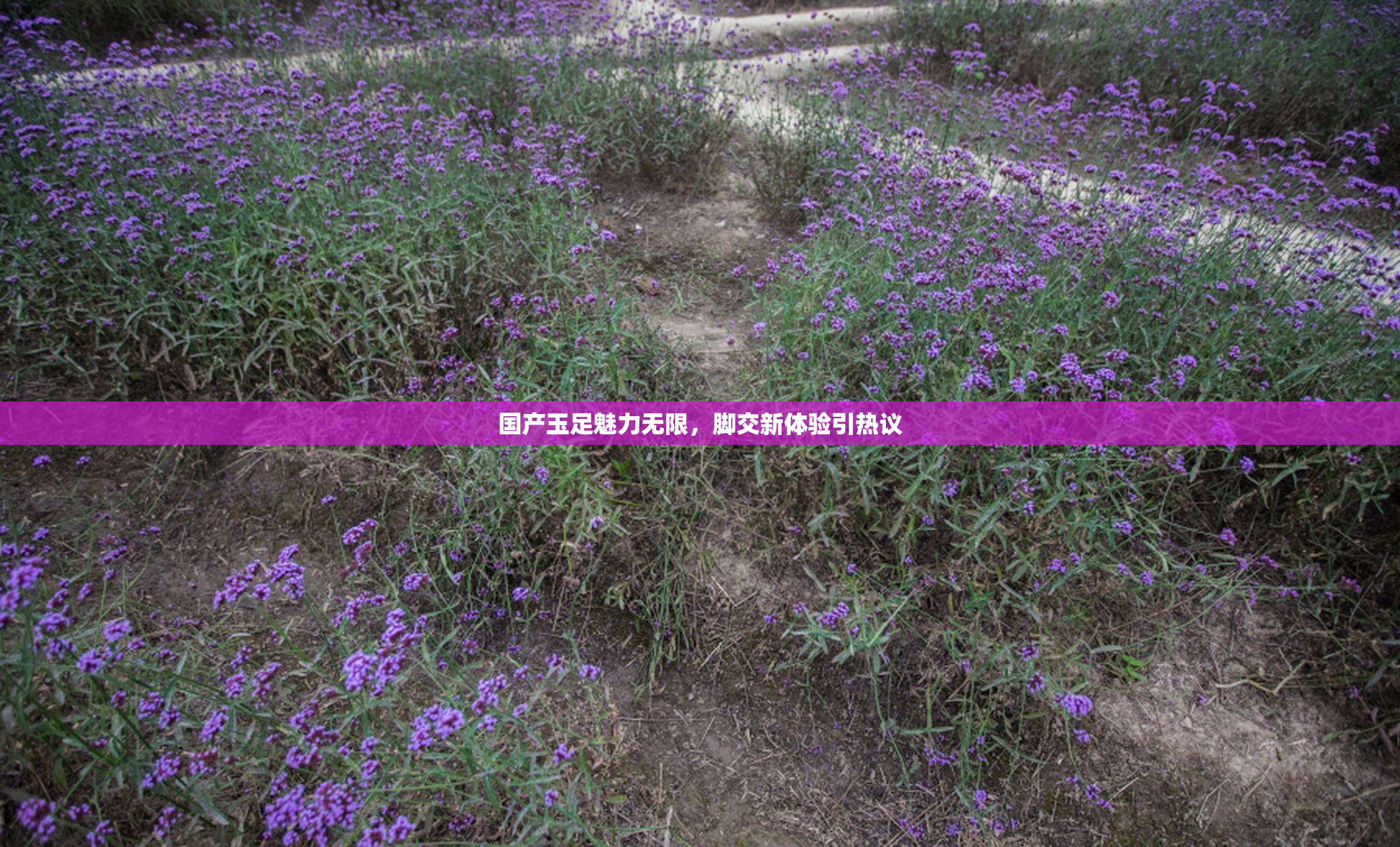 国产玉足魅力无限，脚交新体验引热议