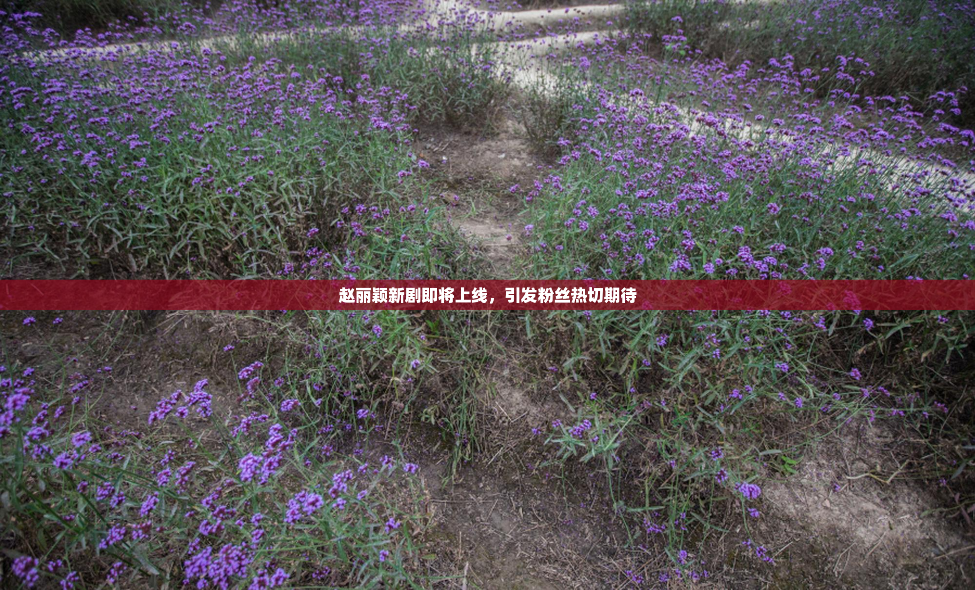 赵丽颖新剧即将上线，引发粉丝热切期待