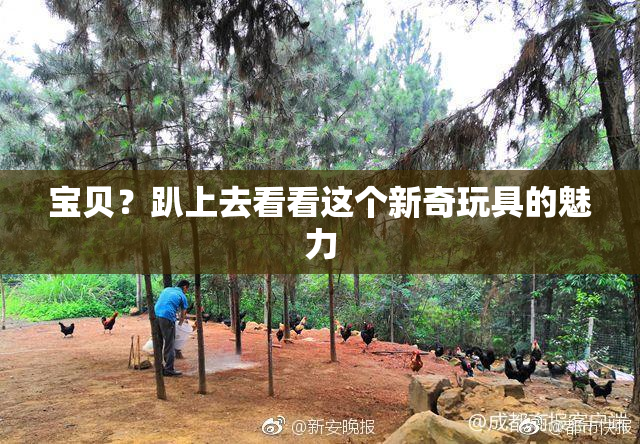 宝贝？趴上去看看这个新奇玩具的魅力