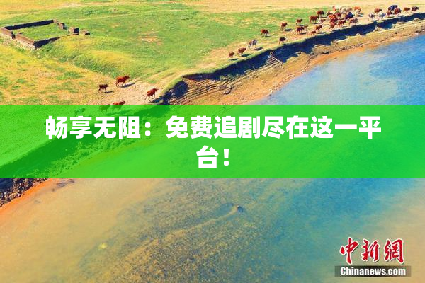 畅享无阻：免费追剧尽在这一平台！