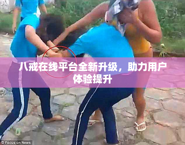 八戒在线平台全新升级，助力用户体验提升