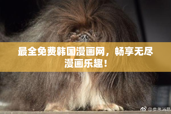最全免费韩国漫画网，畅享无尽漫画乐趣！