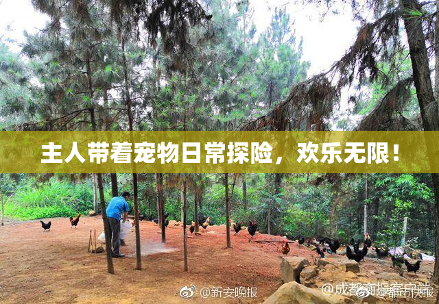 主人带着宠物日常探险，欢乐无限！