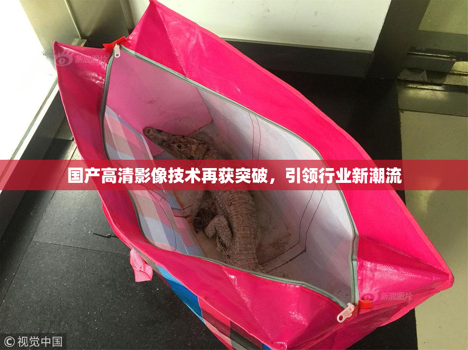 国产高清影像技术再获突破，引领行业新潮流
