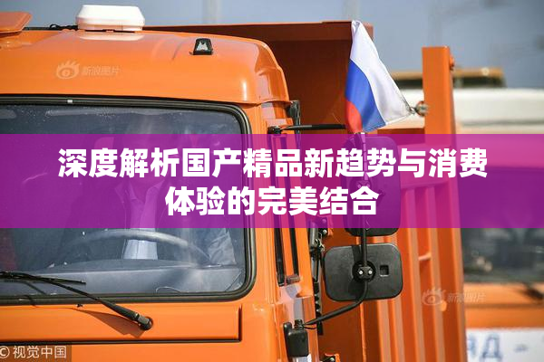 深度解析国产精品新趋势与消费体验的完美结合