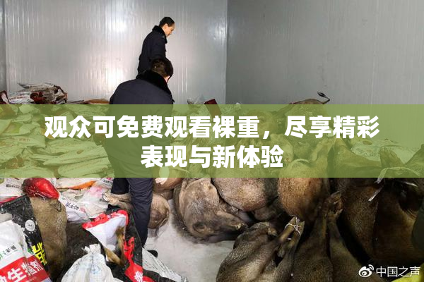 观众可免费观看裸重，尽享精彩表现与新体验
