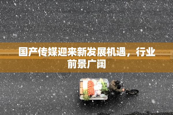 国产传媒迎来新发展机遇，行业前景广阔