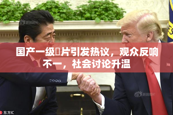 国产一级婬片引发热议，观众反响不一，社会讨论升温