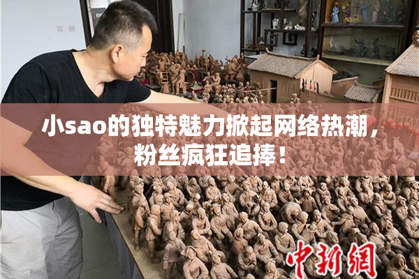 小sao的独特魅力掀起网络热潮，粉丝疯狂追捧！