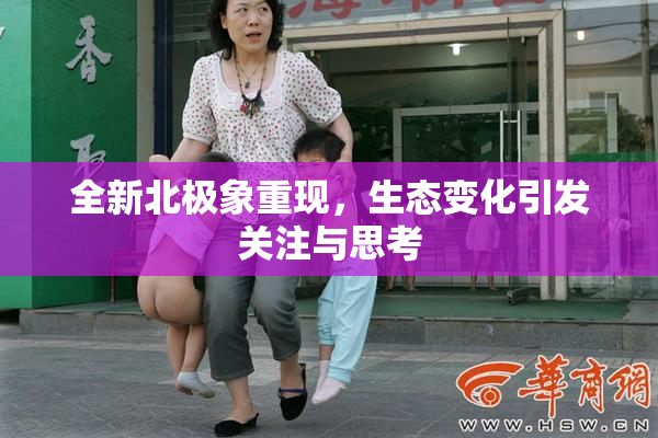 全新北极象重现，生态变化引发关注与思考
