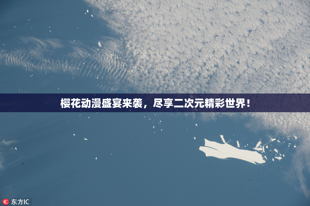 樱花动漫盛宴来袭，尽享二次元精彩世界！