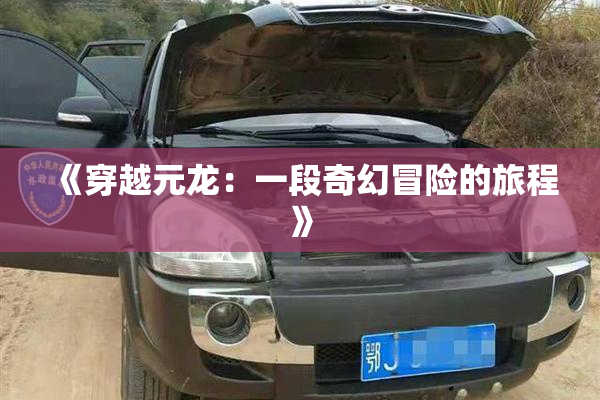 《穿越元龙：一段奇幻冒险的旅程》
