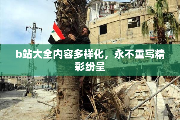 b站大全内容多样化，永不重写精彩纷呈