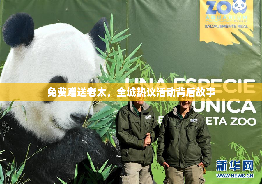 免费赠送老太，全城热议活动背后故事