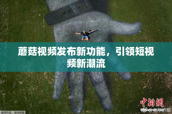 蘑菇视频发布新功能，引领短视频新潮流