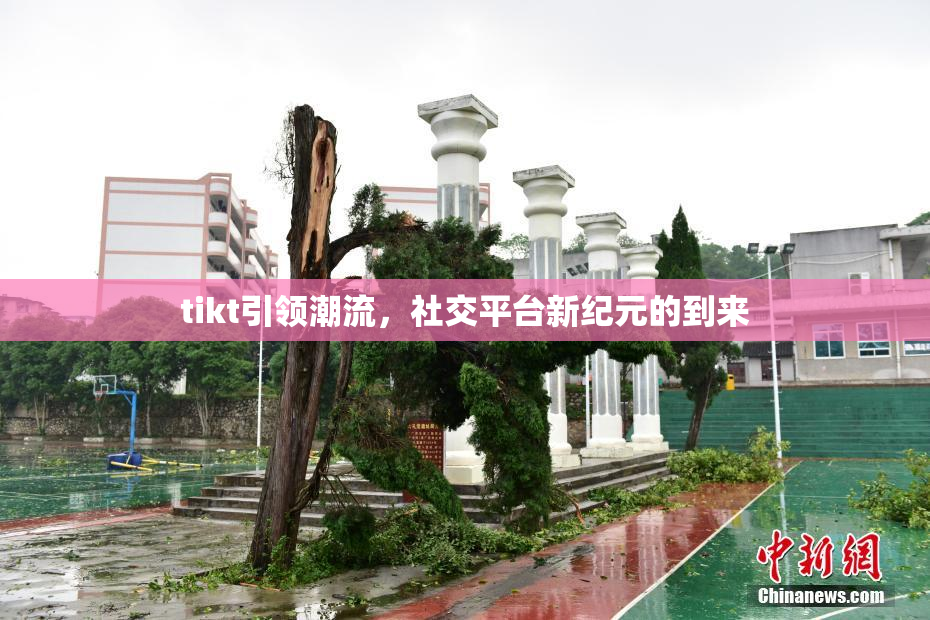 tikt引领潮流，社交平台新纪元的到来