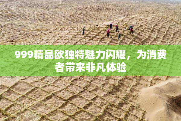 999精品欧独特魅力闪耀，为消费者带来非凡体验
