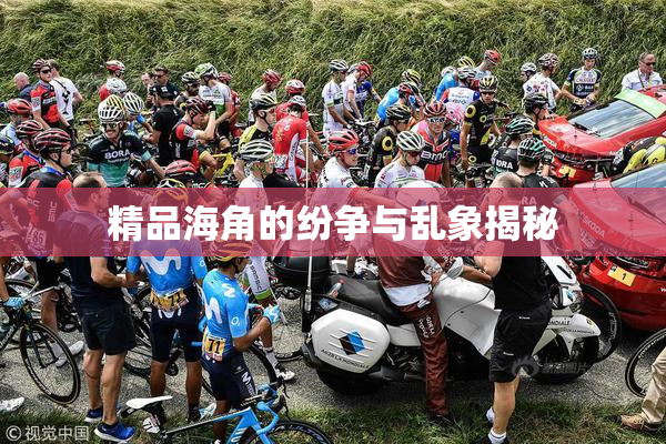 精品海角的纷争与乱象揭秘