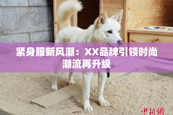 紧身服新风潮：XX品牌引领时尚潮流再升级
