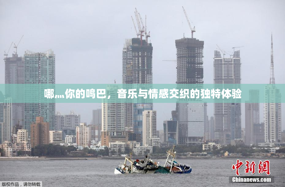哪灬你的鸣巴，音乐与情感交织的独特体验