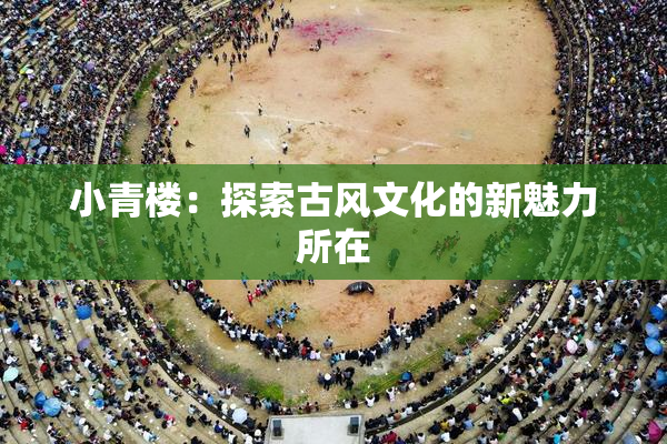 小青楼：探索古风文化的新魅力所在
