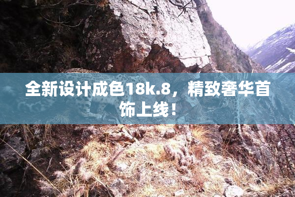 全新设计成色18k.8，精致奢华首饰上线！