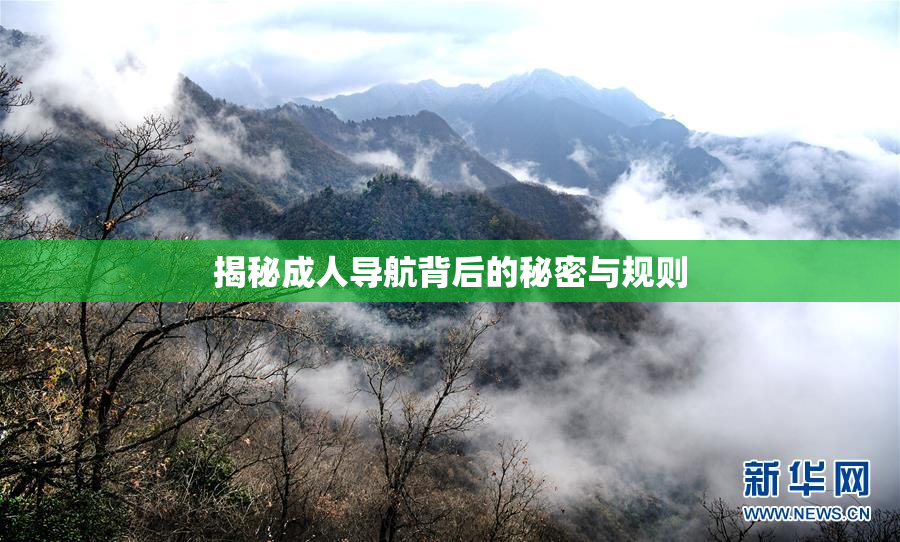 揭秘成人导航背后的秘密与规则