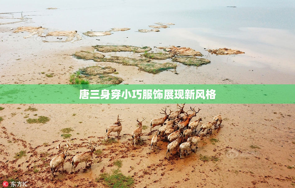 唐三身穿小巧服饰展现新风格