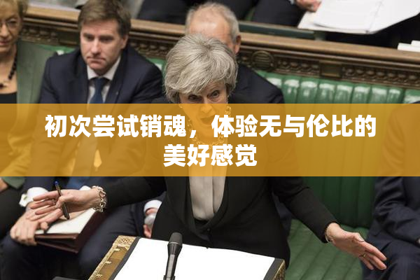 初次尝试销魂，体验无与伦比的美好感觉
