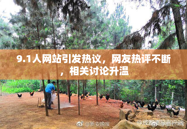 9.1人网站引发热议，网友热评不断，相关讨论升温