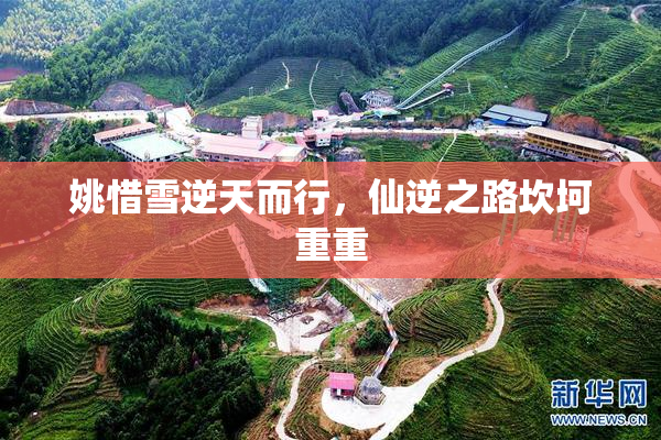 姚惜雪逆天而行，仙逆之路坎坷重重