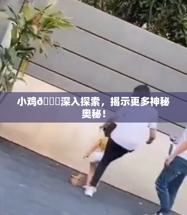 小鸡🐔深入探索，揭示更多神秘奥秘！
