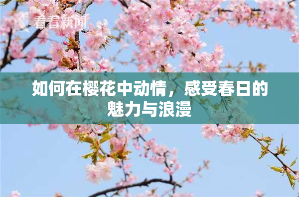 如何在樱花中动情，感受春日的魅力与浪漫