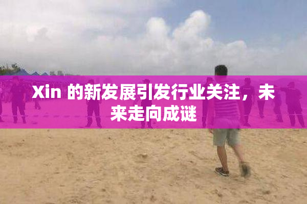 Xin 的新发展引发行业关注，未来走向成谜