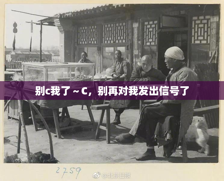别c我了～C，别再对我发出信号了