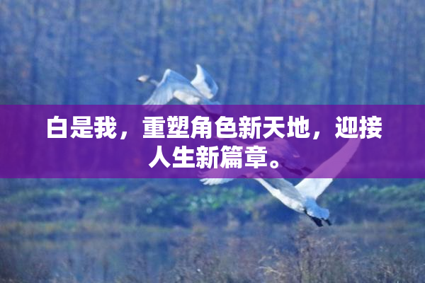 白是我，重塑角色新天地，迎接人生新篇章。