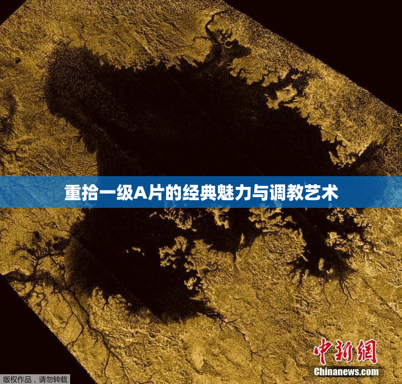 重拾一级A片的经典魅力与调教艺术