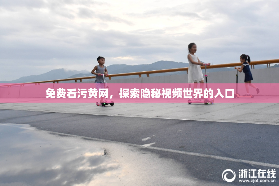 免费看污黄网，探索隐秘视频世界的入口