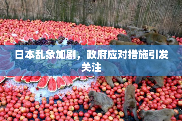 日本乱象加剧，政府应对措施引发关注
