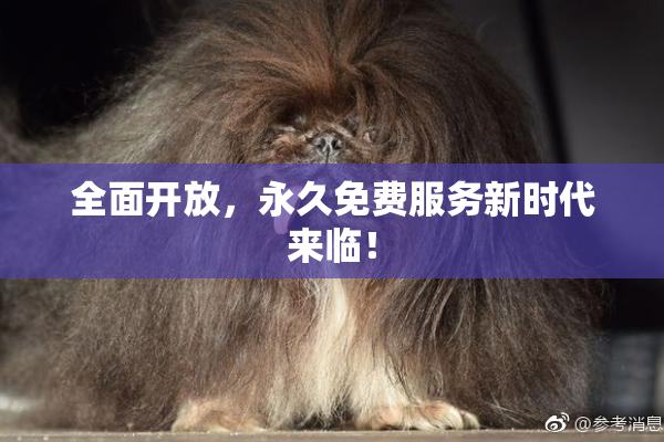 全面开放，永久免费服务新时代来临！